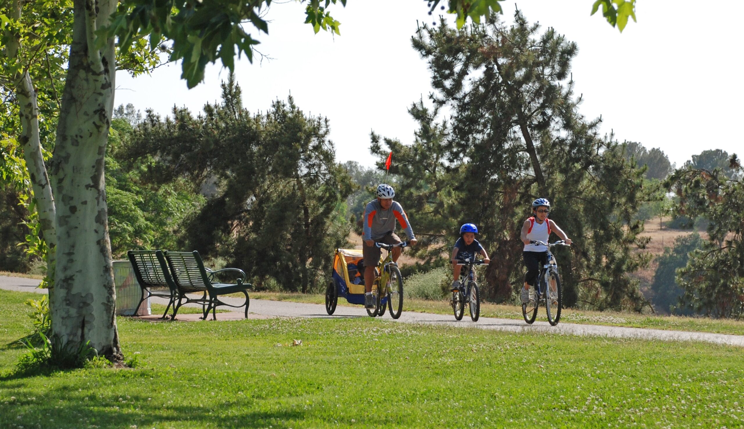 Image for Scenic Park Ride Woodward-v