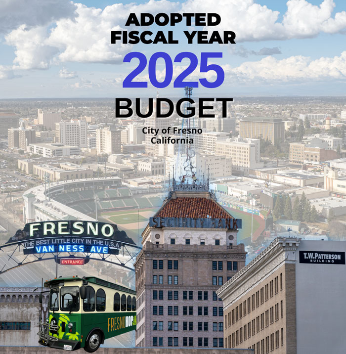 adoptedBudgetIcon