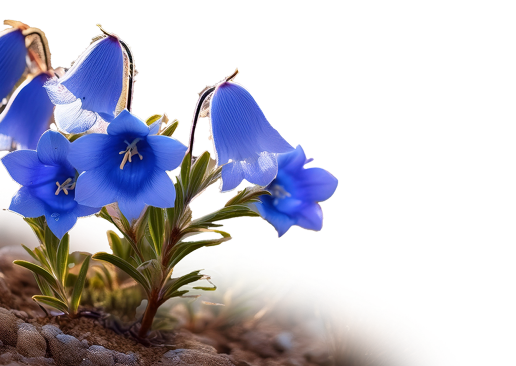AdobeStock_504617201 1
