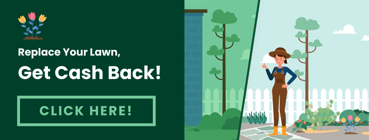 get-cash-back
